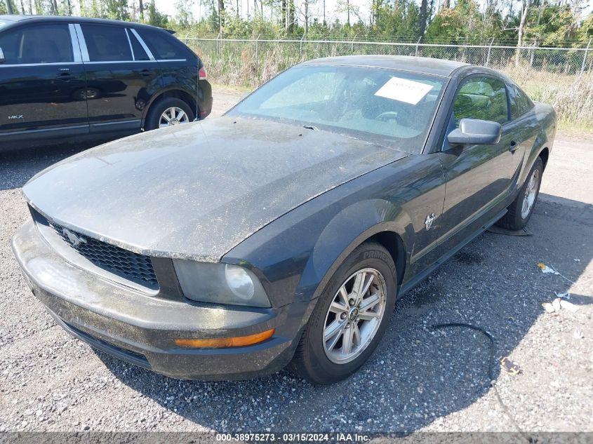 1ZVHT80N695123030 | 2009 FORD MUSTANG