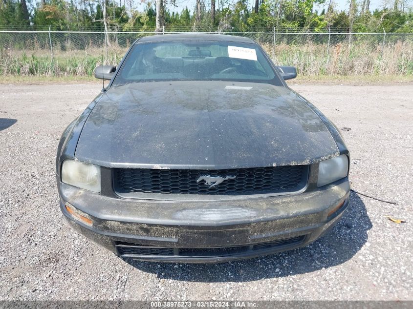 1ZVHT80N695123030 | 2009 FORD MUSTANG