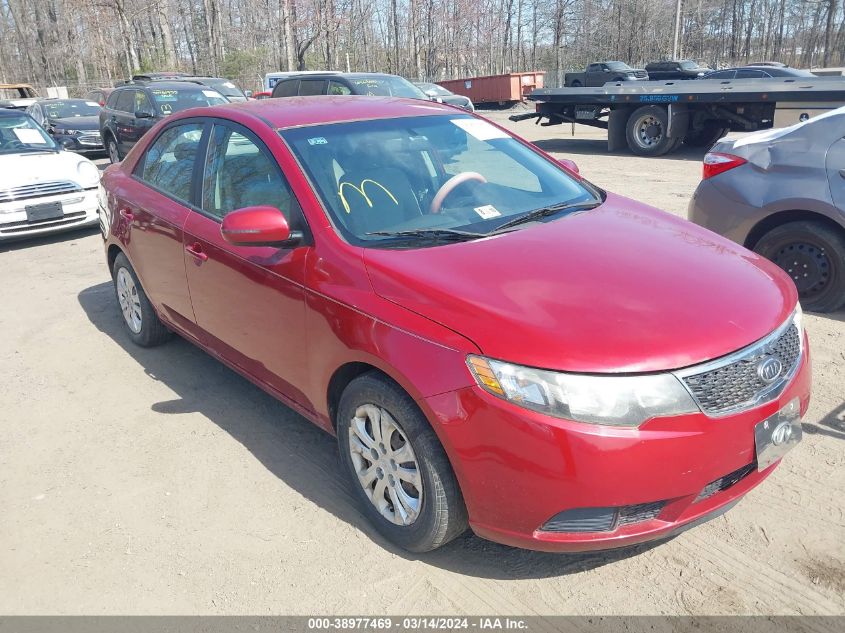 KNAFU4A2XB5366699 | 2011 KIA FORTE