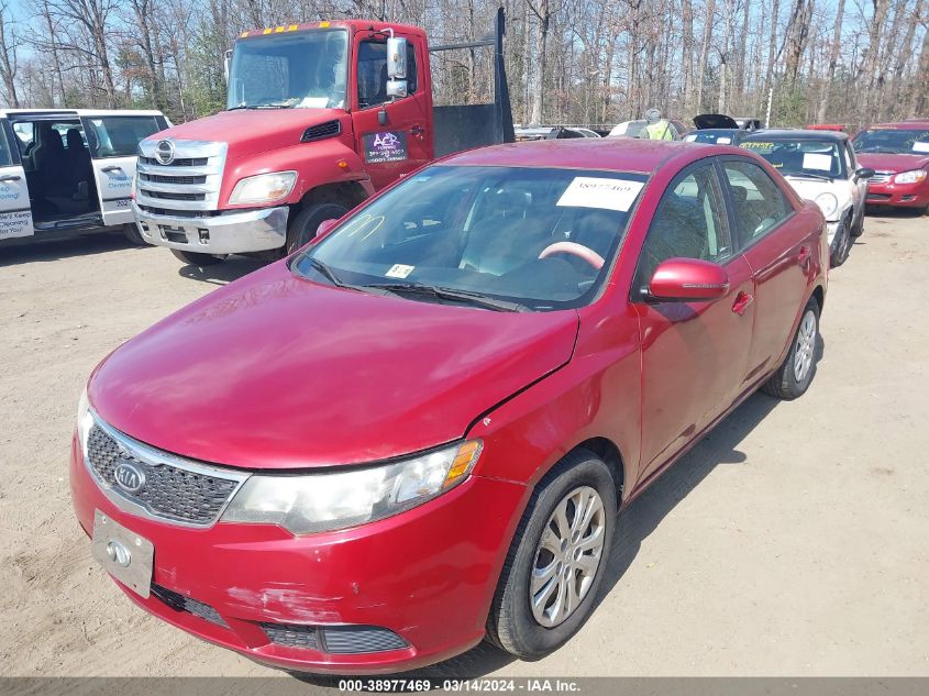 KNAFU4A2XB5366699 | 2011 KIA FORTE