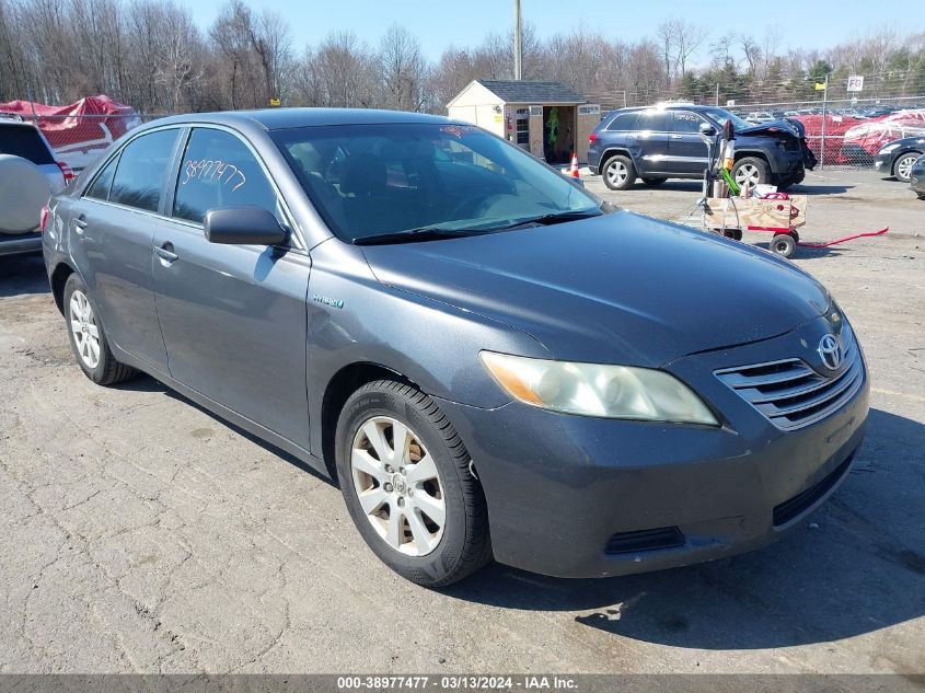 4T1BB46K19U081403 | 2009 TOYOTA CAMRY HYBRID