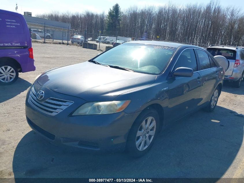 4T1BB46K19U081403 | 2009 TOYOTA CAMRY HYBRID