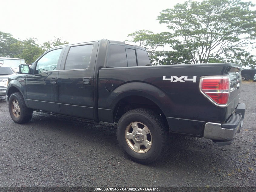 2014 FORD F-150 XLT - 1FTFW1EF6EFA19412