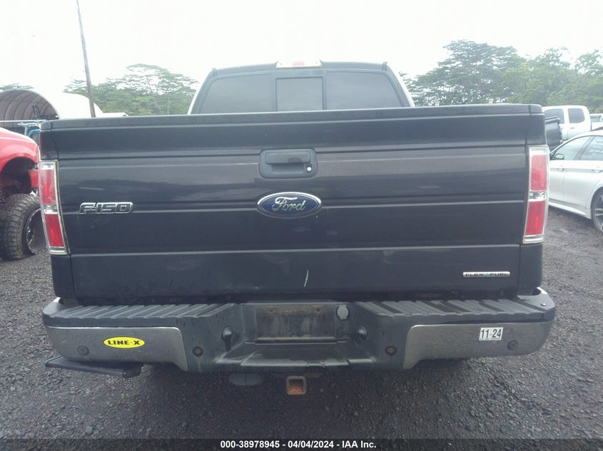 2014 FORD F-150 XLT - 1FTFW1EF6EFA19412