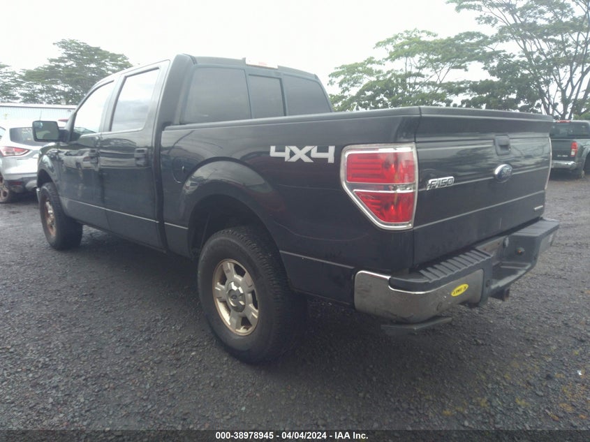 2014 FORD F-150 XLT - 1FTFW1EF6EFA19412