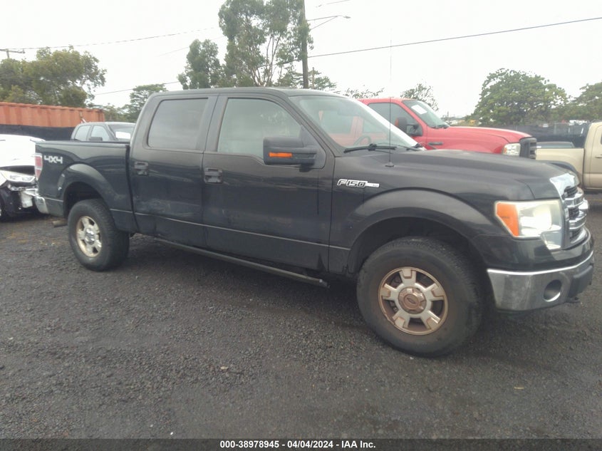 2014 FORD F-150 XLT - 1FTFW1EF6EFA19412
