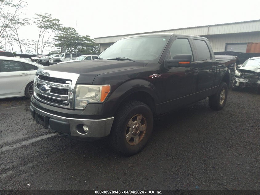 2014 FORD F-150 XLT - 1FTFW1EF6EFA19412