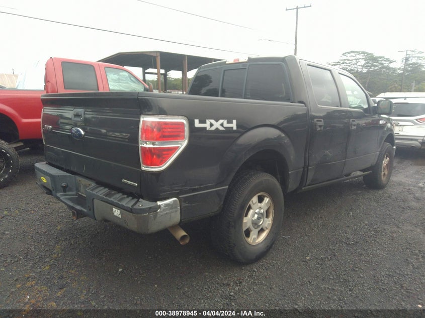 2014 FORD F-150 XLT - 1FTFW1EF6EFA19412