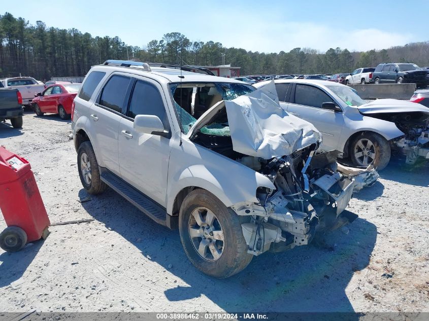 2010 Ford Escape Limited VIN: 1FMCU0E76AKC04598 Lot: 38986462