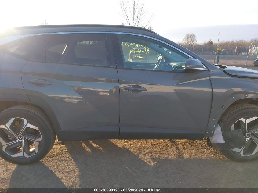 2024 Hyundai Tucson Limited VIN: 5NMJECDE9RH379445 Lot: 38990320