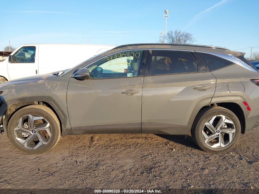 2024 Hyundai Tucson Limited VIN: 5NMJECDE9RH379445 Lot: 38990320