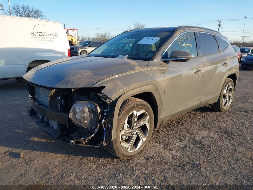 2024 Hyundai Tucson Limited VIN: 5NMJECDE9RH379445 Lot: 38990320