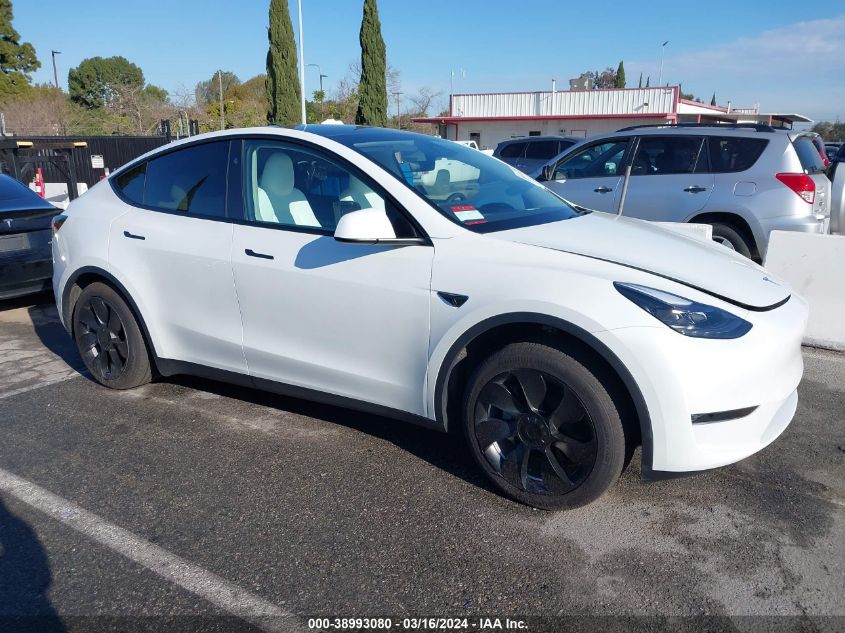 2023 TESLA MODEL Y RWD - 7SAYGDED3PF922875