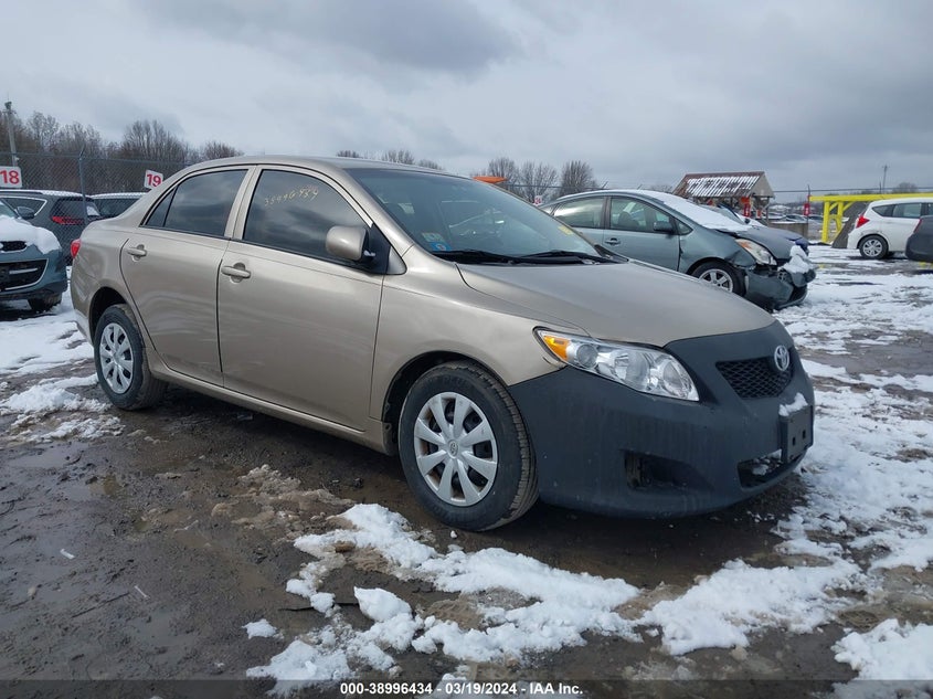 2010 TOYOTA COROLLA
