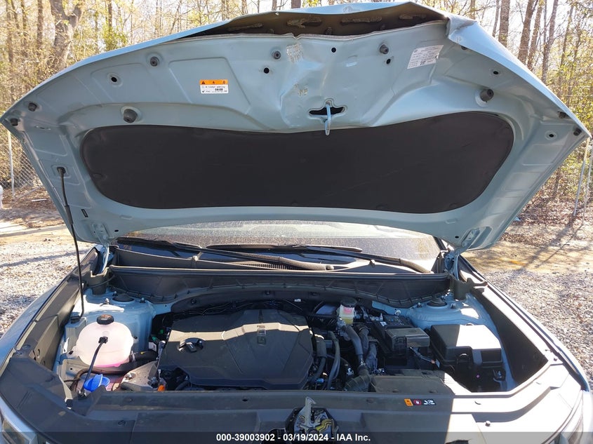 2024 HYUNDAI SANTA CRUZ SEL - 5NTJB4DE7RH102201