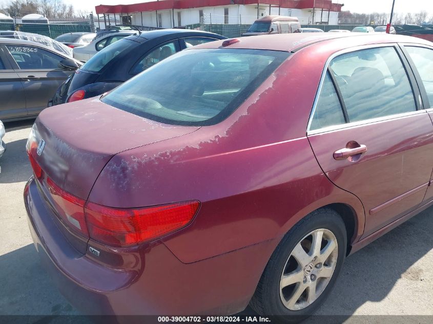 1HGCM66585A057363 | 2005 HONDA ACCORD