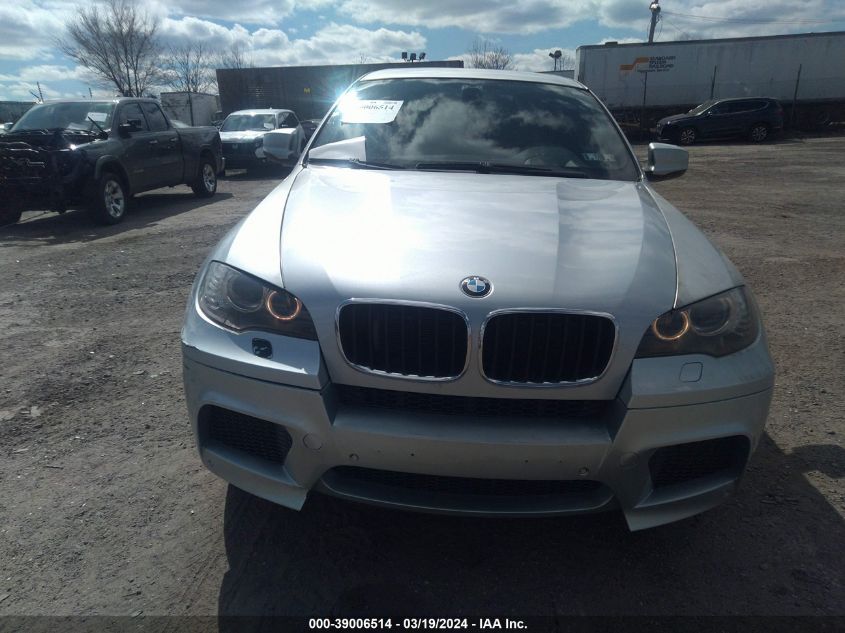 2010 BMW X6 M VIN: 5YMGZ0C5XALK13136 Lot: 39006514