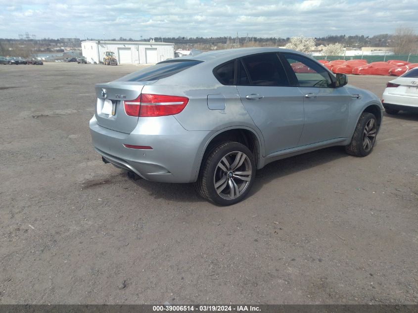 2010 BMW X6 M VIN: 5YMGZ0C5XALK13136 Lot: 39006514