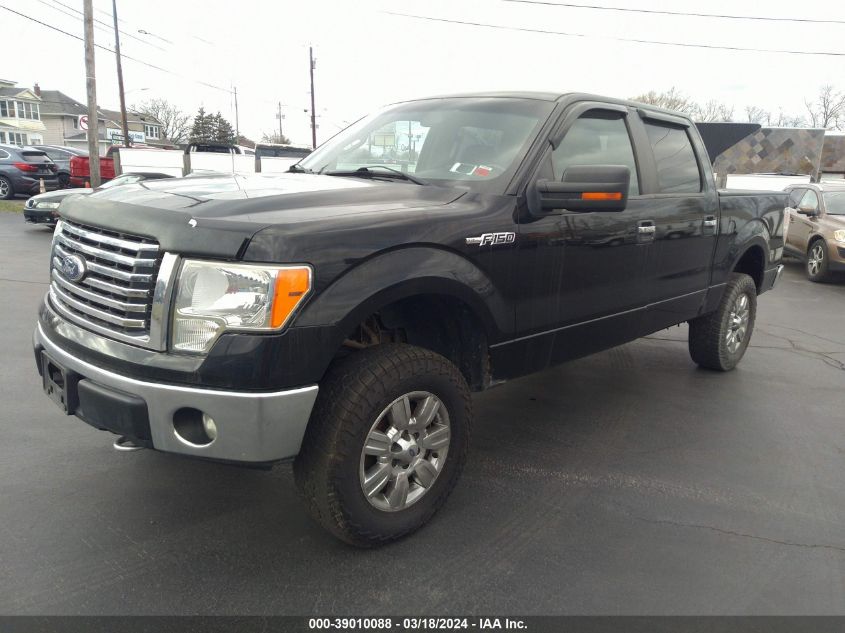 1FTFW1EF2BFC74831 | 2011 FORD F-150