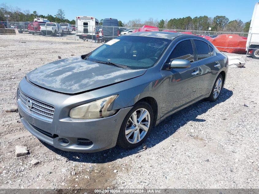 1N4AA5AP1AC801181 | 2010 NISSAN MAXIMA