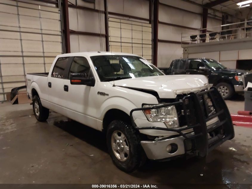 2014 FORD F-150 XLT - 1FTFW1EF4EKG25802