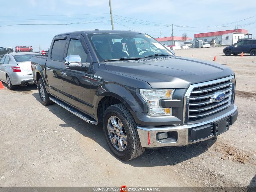 2015 FORD F-150 XLT - 1FTEW1C8XFFA48977