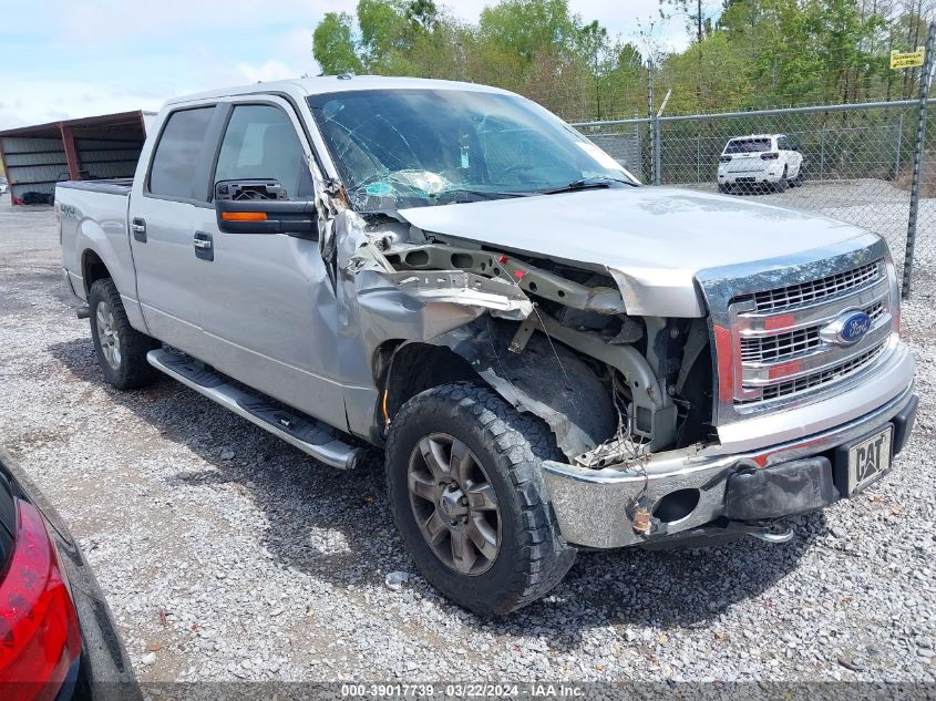 2013 FORD F-150 XLT - 1FTFW1EF3DFC76669