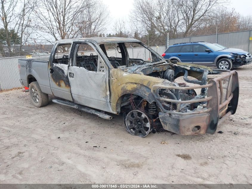 2013 FORD F-150 XLT - 1FTFW1ET6DKG30102