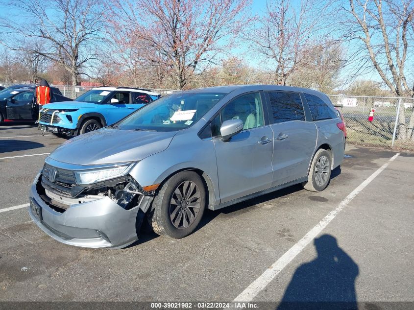 2022 Honda Odyssey Ex-L VIN: 5FNRL6H77NB059669 Lot: 39021982