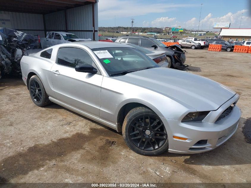 2014 FORD MUSTANG V6 - 1ZVBP8AM1E5270222