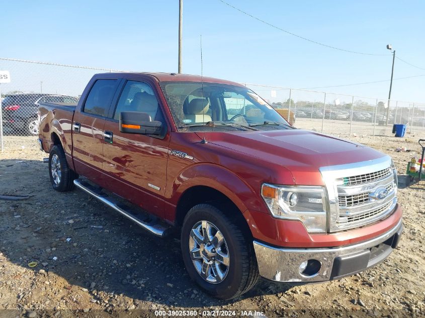 2014 FORD F-150 XLT - 1FTFW1CT7EKF01158