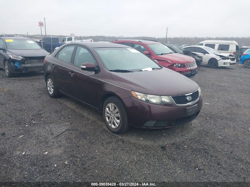 KNAFU4A26A5124894 | 2010 KIA FORTE