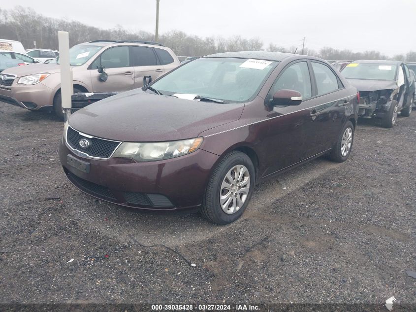 KNAFU4A26A5124894 | 2010 KIA FORTE