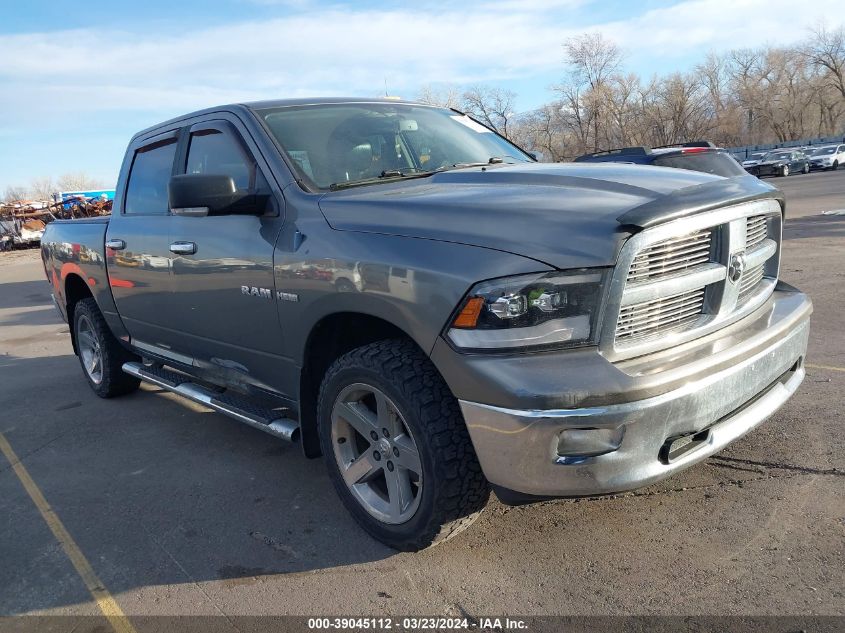 2010 Dodge Ram 1500 Slt/Sport/Trx VIN: 1D7RV1CT0AS120123 Lot: 40116401