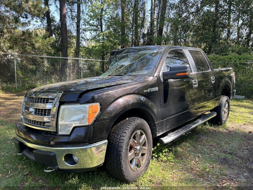 1FTFW1EF8DFD77416 | 2013 FORD F-150