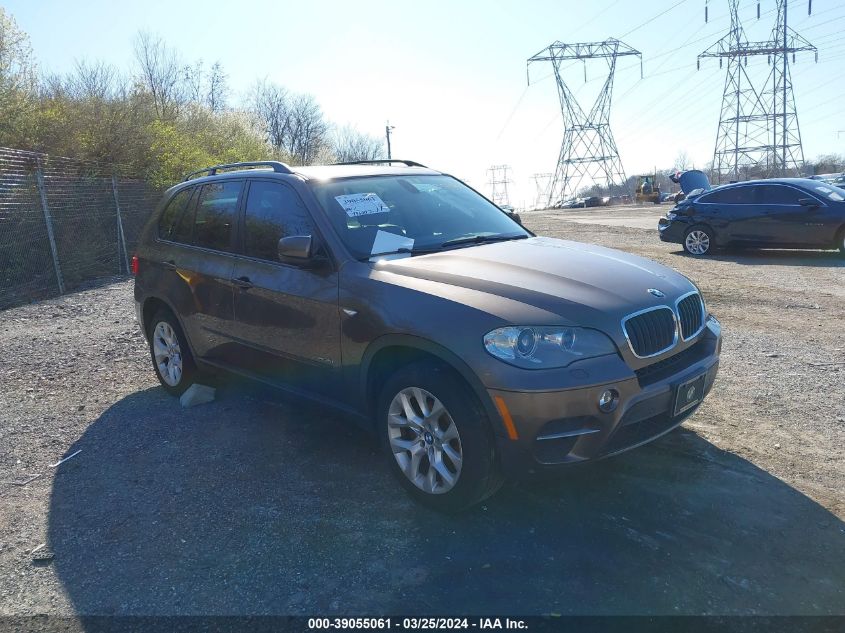 2013 BMW X5 xDrive35I/xDrive35I Premium/xDrive35I Sport Activity VIN: 5UXZV4C51D0B06973 Lot: 39055061