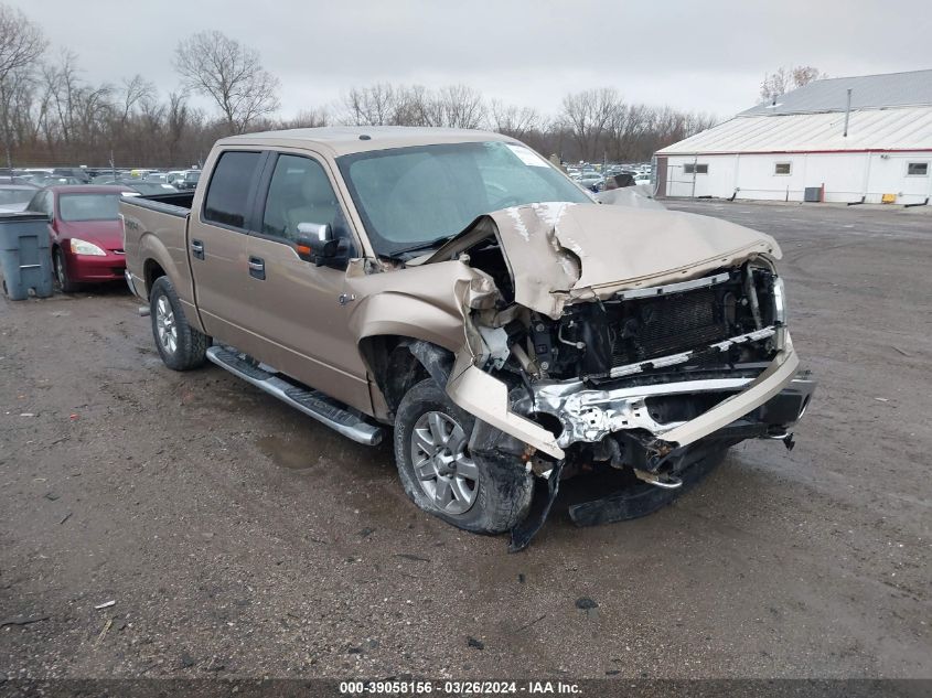 2013 Ford F-150 Xlt VIN: 1FTFW1EF6DKD82914 Lot: 39058156