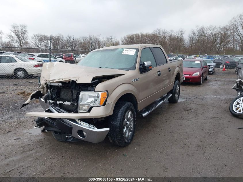 2013 Ford F-150 Xlt VIN: 1FTFW1EF6DKD82914 Lot: 39058156