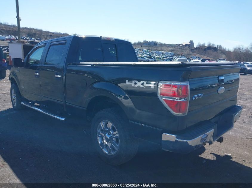 1FTFW1ET6BFB28101 | 2011 FORD F-150