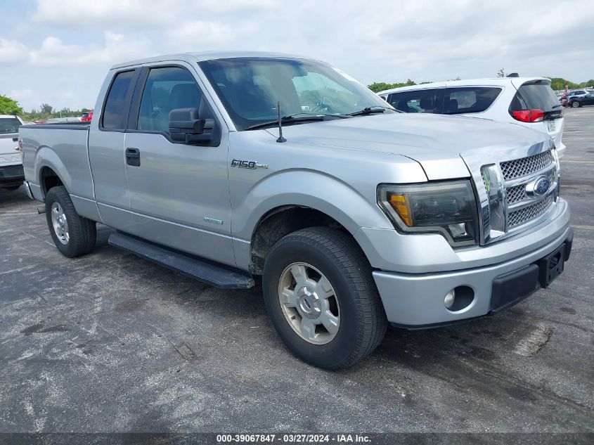 1FTFX1CT0DFD70305 | 2013 FORD F-150