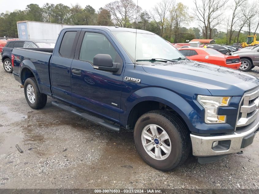 2015 FORD F150 - 1FTFX1EGXFKE96259