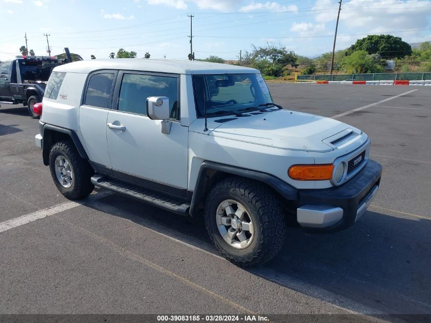 Hide VIN History Auto JTEZU4BF1AK009926 - TOYOTA FJ CRUISER 2010