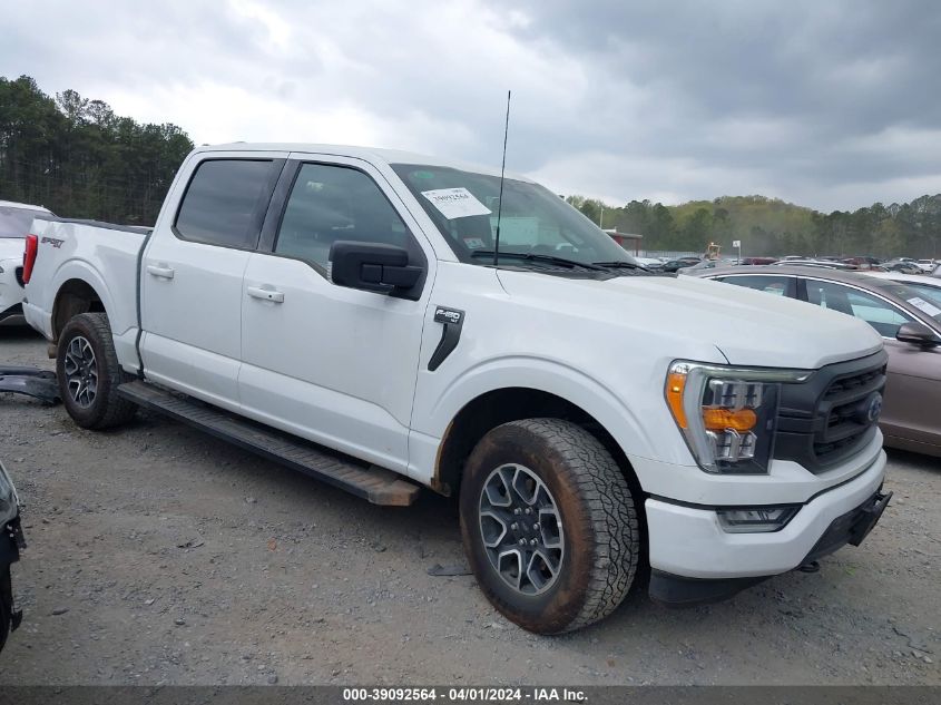 2023 Ford F-150 Xlt VIN: 1FTFW1E54PFB74552 Lot: 39092564