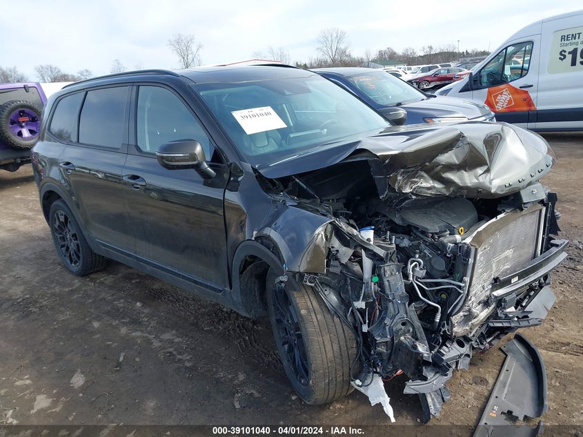 2022 Kia Telluride Ex VIN: 5XYP3DHC6NG261405 Lot: 39101040