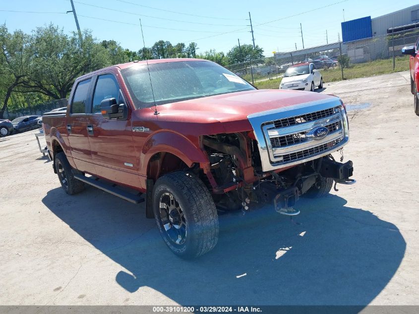 1FTFW1ET3EKG00718 | 2014 FORD F-150