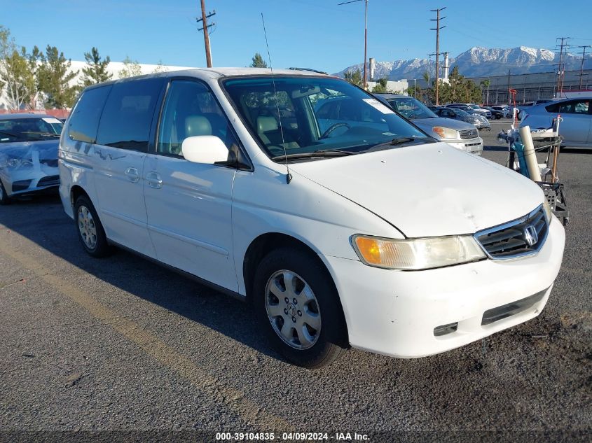 2004 Honda Odyssey Exl VIN: 5FNRL18084B115669 Lot: 51216424