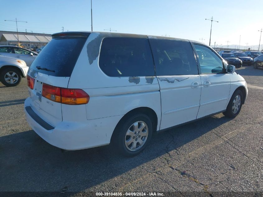 2004 Honda Odyssey Exl VIN: 5FNRL18084B115669 Lot: 51216424