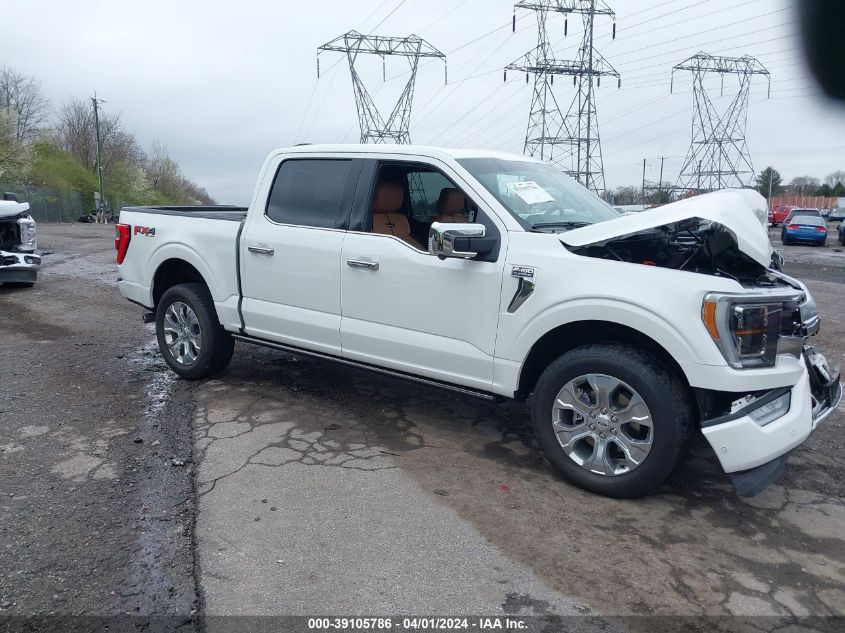 2023 FORD F-150 PLATINUM - 1FTFW1E84PFD18871