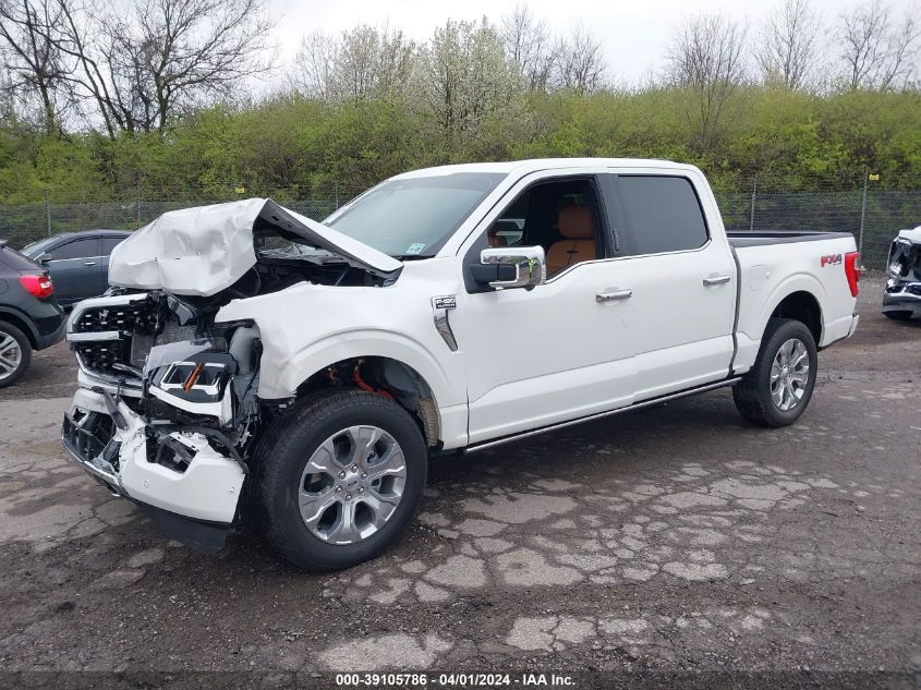 2023 FORD F-150 PLATINUM - 1FTFW1E84PFD18871