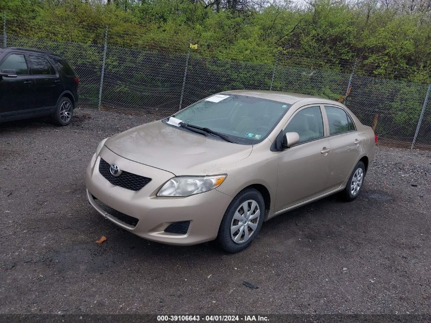 2T1BU40E69C024273 | 2009 TOYOTA COROLLA